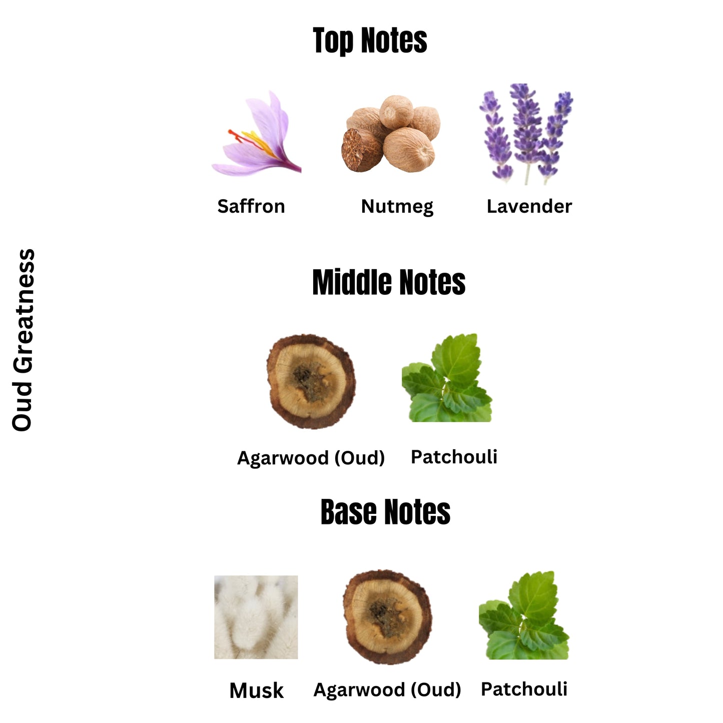 OUD GREATNESS | Oud for Glory by Lattafa