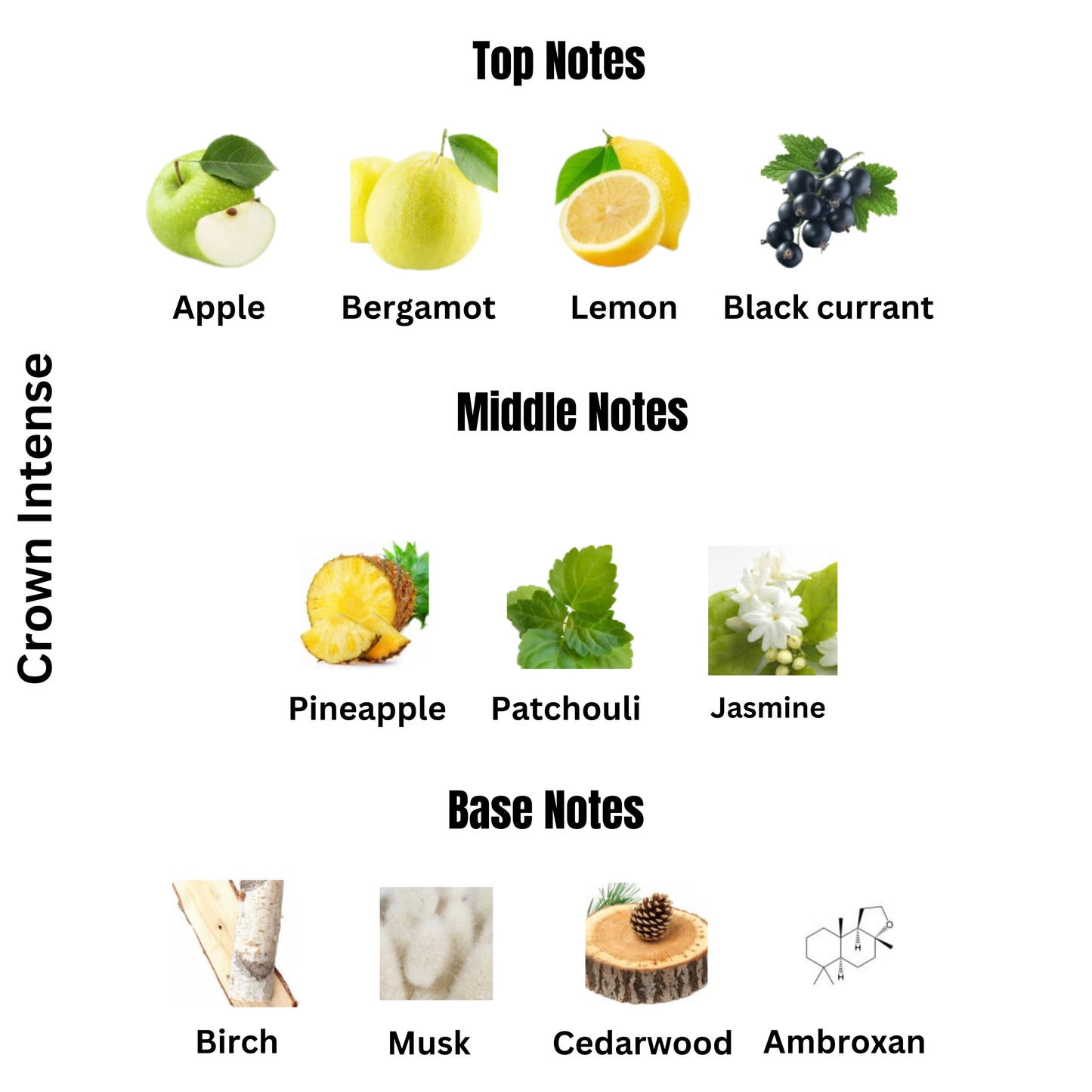 CROWN INTENSE | Aventus Creed