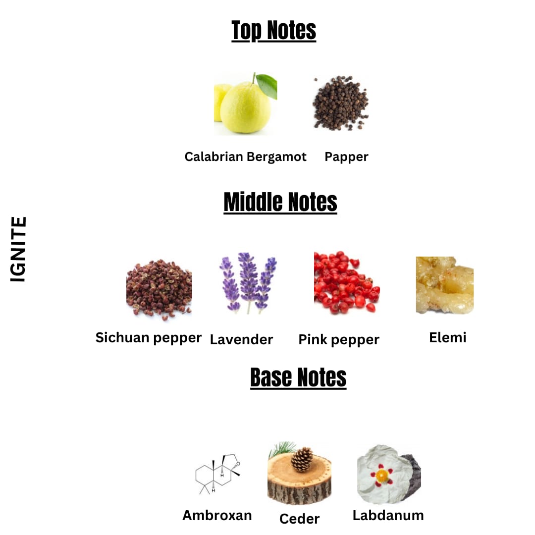 IGNITE | Sauvage Dior