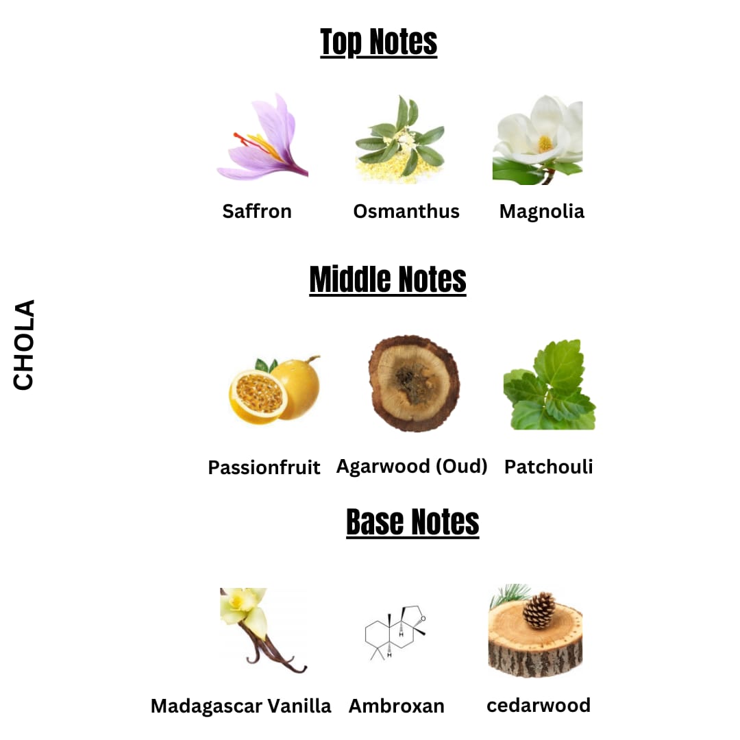 CHOLA| QUEEN OF SILK