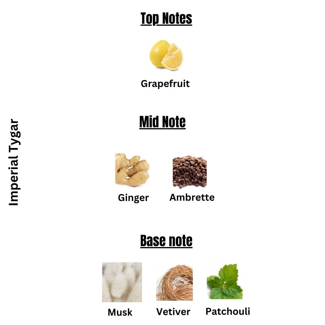 Imperial Tyger | Tygar Bvlgari