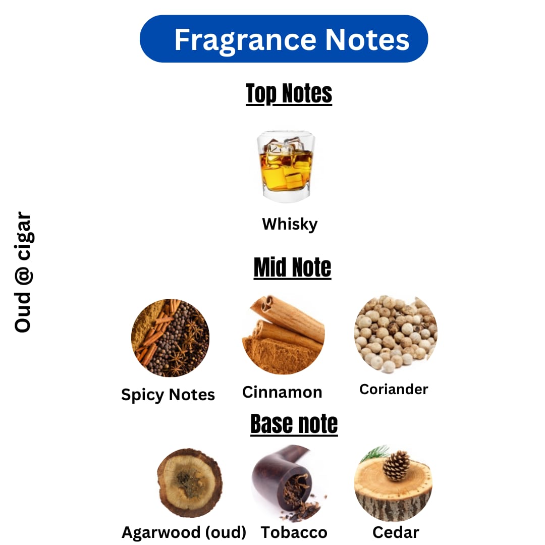 OUD & CIGAR | Tobacco Oud Tom Ford