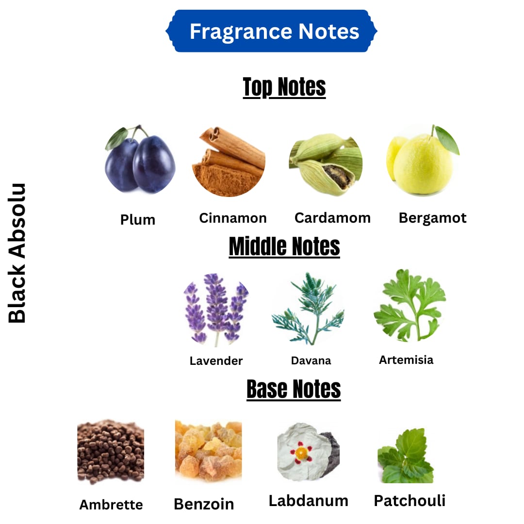 BLACK ABSOLU |  Le Male Elixir Absolu Jean Paul Gaultier